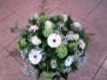 /album/fotogalerij-bloemstukken-boeketten/foto0079-jpg1/